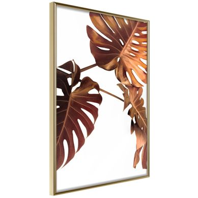 Affiche Murale Encadrée "copper Monstera" 30 X 42 Cm Doré