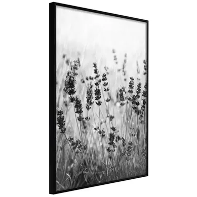 Affiche Murale Encadrée "shadow Of Meadow" 40 X 60 Cm Noir Affiche Murale Encadrée "shadow Of Meadow" 40 X 60 Cm Noir