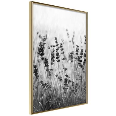 Affiche Murale Encadrée "shadow Of Meadow" 30 X 42 Cm Doré