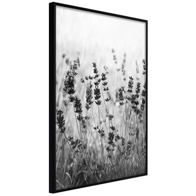 Affiche Murale Encadrée "shadow Of Meadow" 21 X 30 Cm Noir Affiche Murale Encadrée "shadow Of Meadow" 21 X 30 Cm Noir