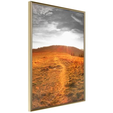 Affiche Murale Encadrée "prairie" 30 X 42 Cm Doré