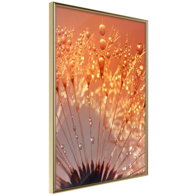Affiche Murale Encadrée "orange Breath Of The Summer" 21 X 30 Cm Doré