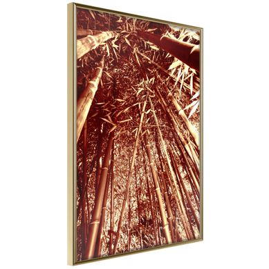 Affiche Murale Encadrée "asian Forest" 40 X 60 Cm Doré