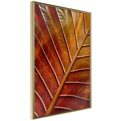 Affiche Murale Encadrée "bronze Leaf" 30 X 42 Cm Doré
