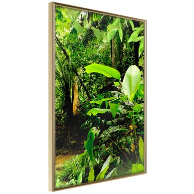 Affiche Murale Encadrée "in The Rainforest" 30 X 42 Cm Doré