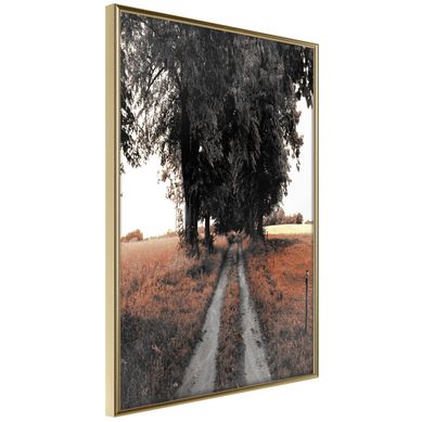 Affiche Murale Encadrée "field Path" 21 X 30 Cm Doré