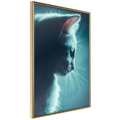 Affiche Murale Encadrée "adorable Furball" 30 X 42 Cm Doré