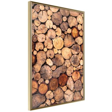 Affiche Murale Encadrée "log Pile" 30 X 42 Cm Doré