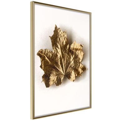 Affiche Murale Encadrée "dried Maple Leaf" 21 X 30 Cm Doré