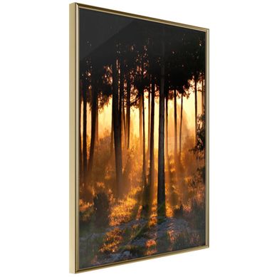 Affiche Murale Encadrée "dark Tree Tops" 21 X 30 Cm Doré