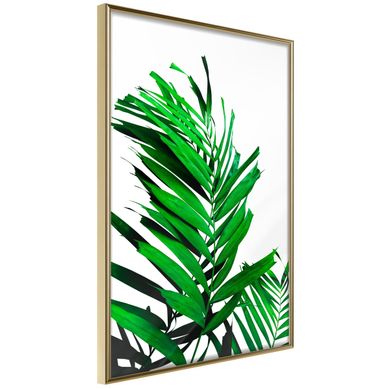 Affiche Murale Encadrée "emerald Palm" 21 X 30 Cm Doré