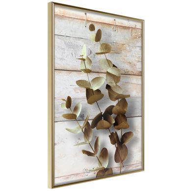 Affiche Murale Encadrée "decorative Twigs" 21 X 30 Cm Doré