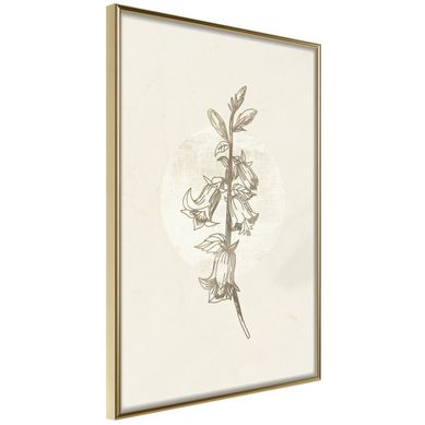 Affiche Murale Encadrée "beige Campanula" 21 X 30 Cm Doré
