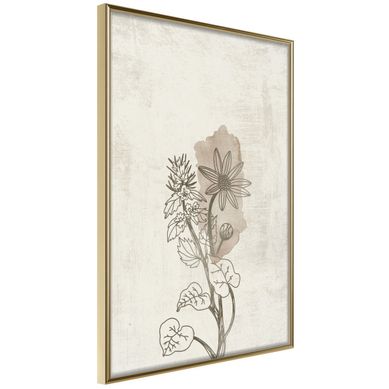 Affiche Murale Encadrée "life Of Plants" 30 X 42 Cm Doré