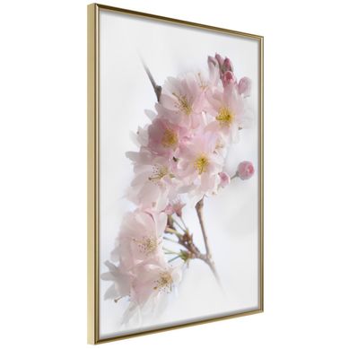Affiche Murale Encadrée "scent Of Spring" 30 X 42 Cm Doré