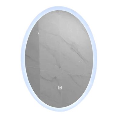 Miroir De Salle De Bain LED Ovale 60x80cm Anti Buée à Luminosité Variable