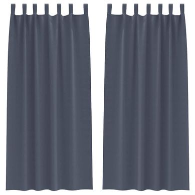 Lot de 2 Rideaux Occultants Anthracite Polyester 260x140