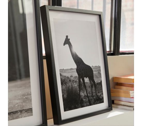 Image 30x40 Cm Girafe Soleil Noir Cadre Photo Pele Mele But