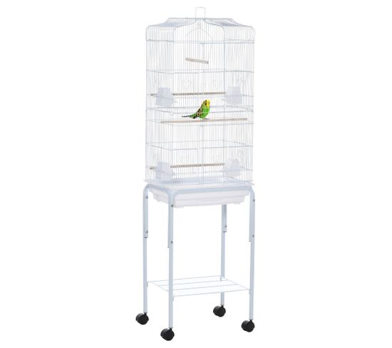 TABLEAU OISEAUX - LA VERTICALE | Mangeoire Oiseaux