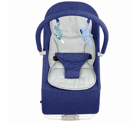 Bouncer Transat Pour Bebe De 0 A 6 Mois 0 9 Kg Bleu Transat Bebe But