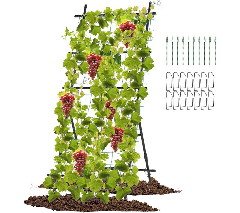 Treillis De Jardin Pour Plantes Grimpantes à Cadre En ‘a’ Avec Filet, Support Vertical Pour Plantes