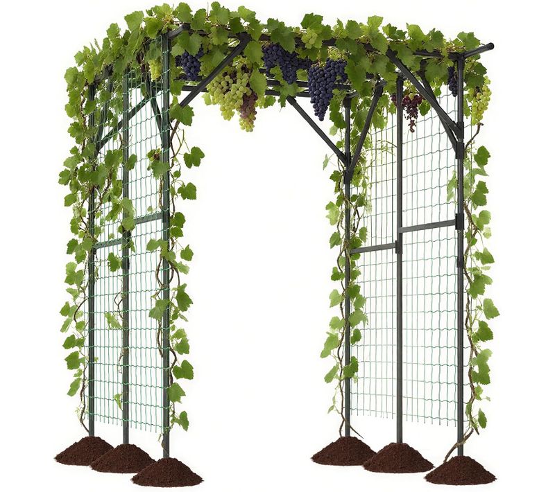 Grande Arche Treillis De Jardin Pour Plantes Grimpantes, Pergola De Pelouse Support De Vignes