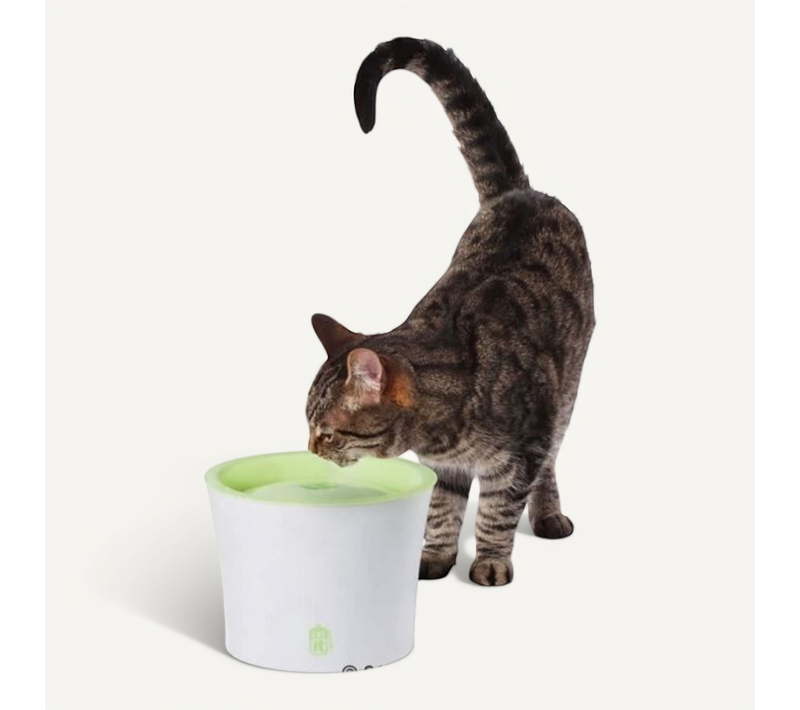 Fontaine A Eau Pour Chat 3l - Blanc Et Vert