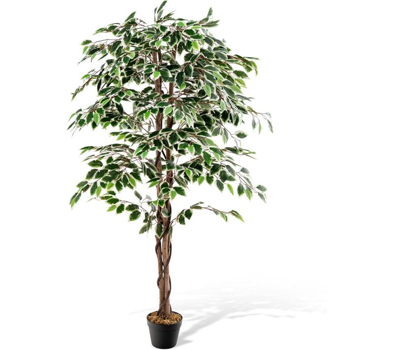 Plante Artificielle De 160cm Avec Pot Rempli, Ficus Artificiel Avec 1008 Feuilles Tronc Réaliste