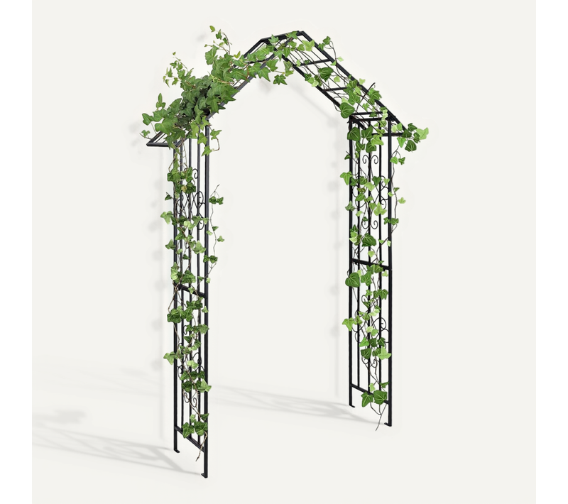 Arche De Jardin Moderne En Métal Pour Plantes Grimpantes, Treillis De Jardin, 140 X 40 X 223 Cm