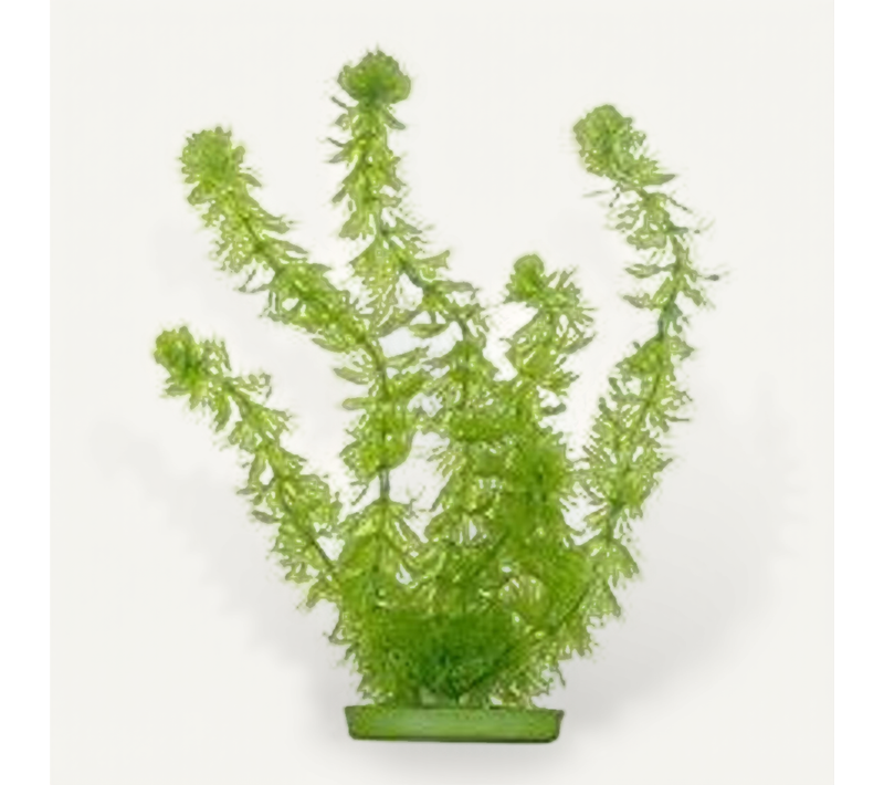 Plantes Artificielles Hornwort 20 Cm - Plastiques - Vertes - Pour Aquarium