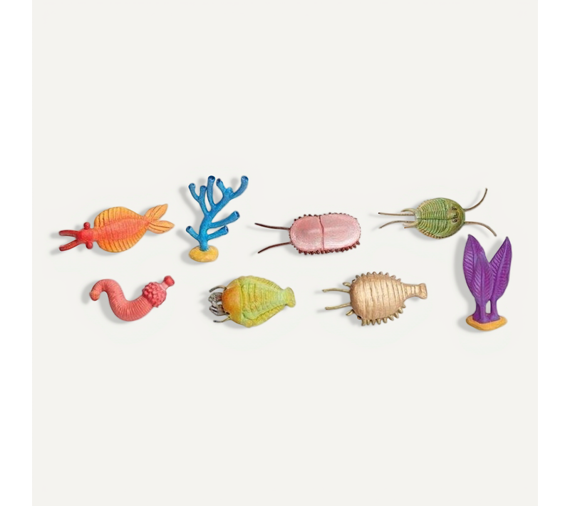 Figurines Vie À L'époque Cambrienne
