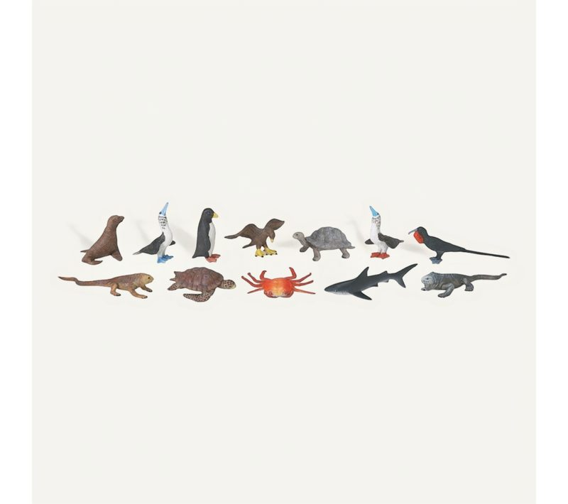 12 Figurines Des Galapagos