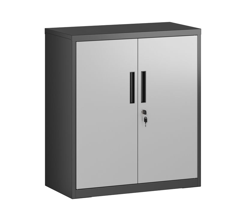Armoire De Classement Multi-usages Avec 2 Portes, Armoire De Rangement En Acier, Argenté/noir