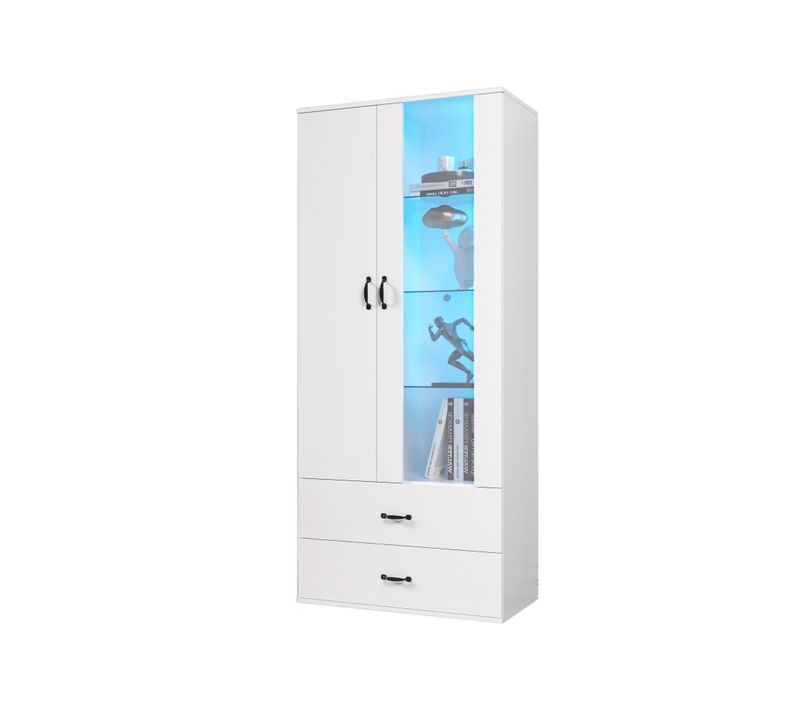 Vitrine Lumineuse LED 16 Couleurs=2 Portes-meuble D'exposition-pour Salon-armoire LED-blanc