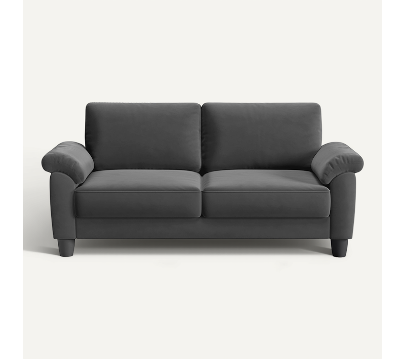 Neche Canapé 2 Places En Velours,avec Poche De Rangement,grands Accoudoirs,178 X 75 X 87cm,gris