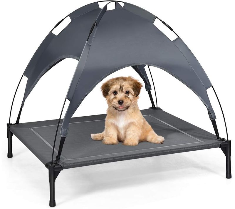 Lit Pour Chien Surélevé Avec Auvent Amovible, Lit De Camp Chien En Tesline Cadre(90 X 81 X 86cm)