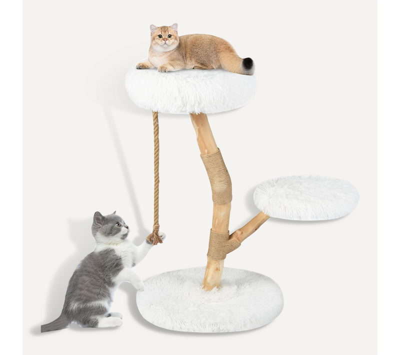Arbre à Chat, Arbre à Chat Bois De Poirier, 3 Plateformes, Poteaux à Griffer En Jute (90 Cm,blanc)