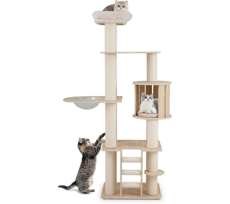 Arbre à Chat XXL 60x48x185cm, 3 Plateformes, Capsule, Condo, Échelle, Coussins Lavables