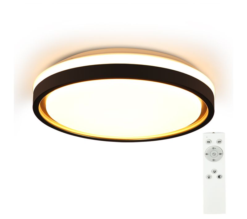 Plafonnier LED Salon D.30cm Dimmable Avec Télécommande Plafonnier Moderne Couloir