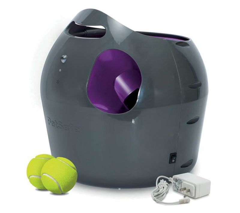 Lanceur Automatique De Balles Gris Pour Chien