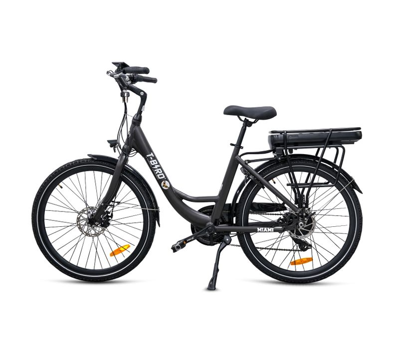Vélo Électrique Pliable De 26" Alliage De Aluminium Freins à Double Disque Écran LCD Noir