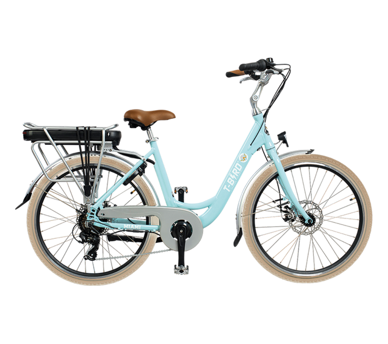 Vélo Électrique E-bike 26 Pouces Alliage De Aluminium Freins à Double Disque