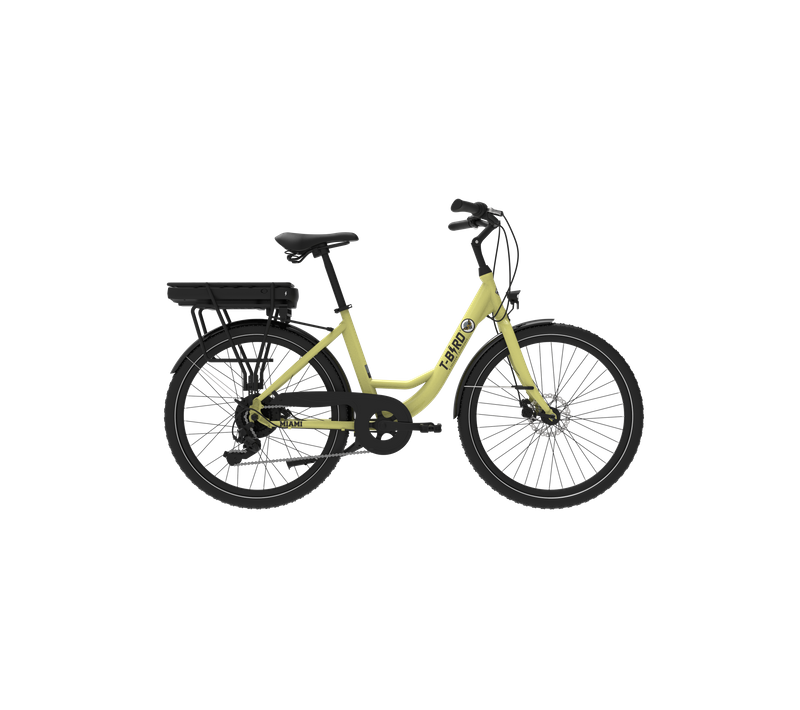 Vélo Électrique Pliable De 26" Alliage De Aluminium Freins à Double Disque