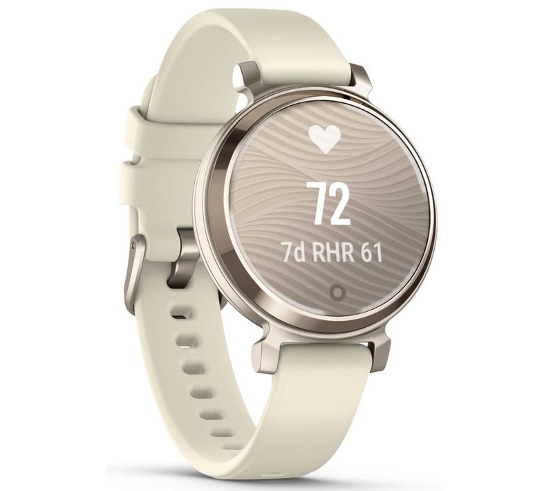 Montre Connectée Garmin 010-02839-00