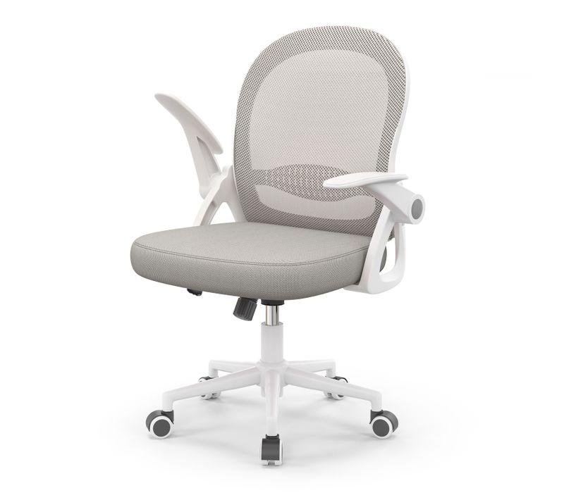 Chaise De Bureau Ergonomique En Maille, Accoudoirs Relevables, Support Lombaire - Gris