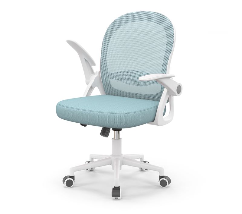 Chaise De Bureau Ergonomique En Maille, Accoudoirs Relevables, Support Lombaire - Bleu