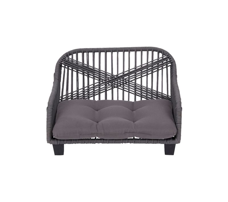 Lachesis Corde Tissée Chat Ou Petit Chien Canapé