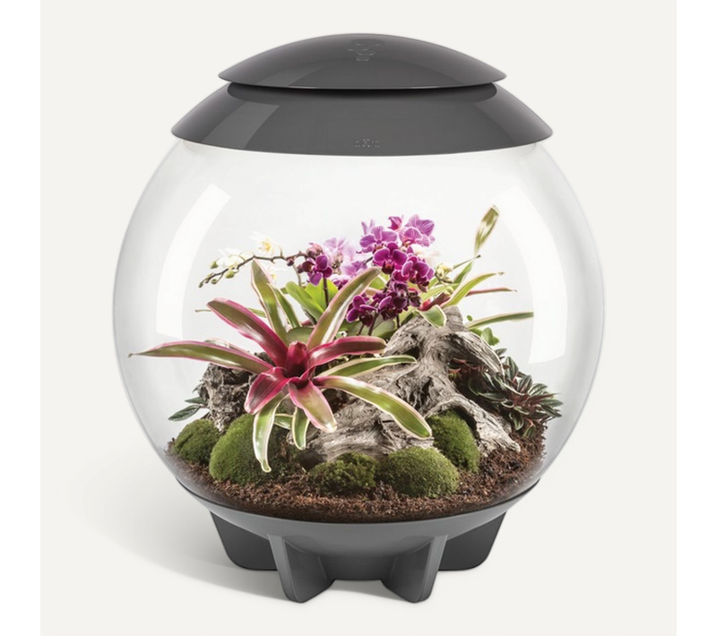 Terrarium Décoratif 60l Avec Cadre Gris Air 60 Grey