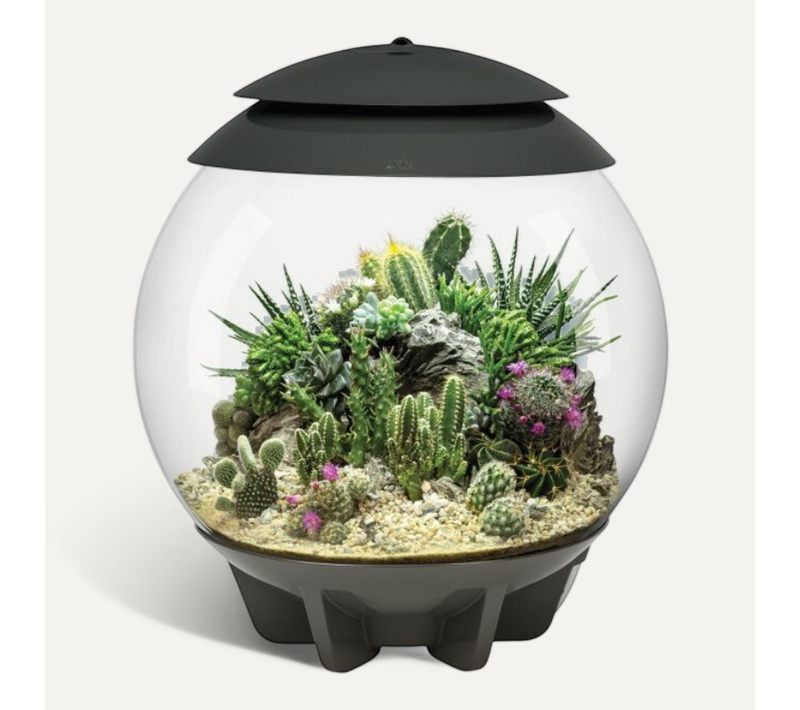 Terrarium Automatisé 30l Gris Air30grey