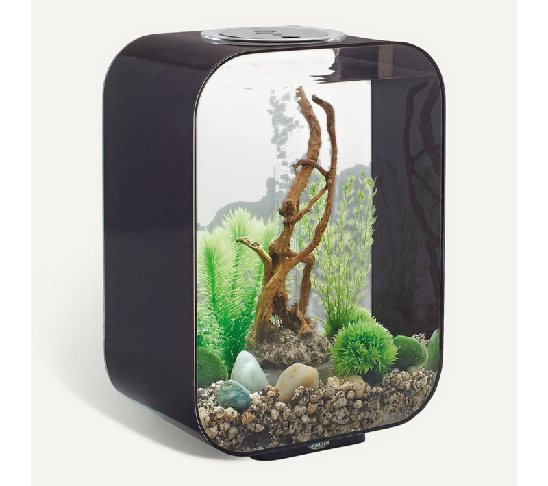 Aquarium Décoratif 15l Avec Cadre Noir Life 15 Mcr Black